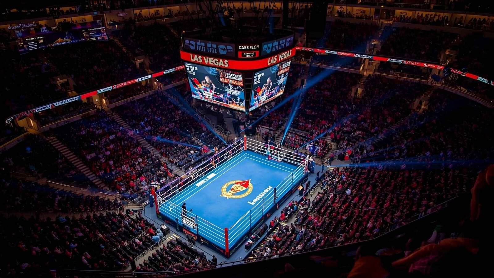 Boxing 2025