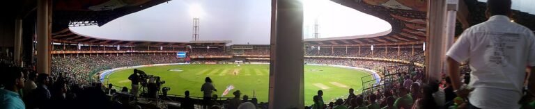 Chinnaswamy Cricket Stadium during an IPL match in Bangalore
