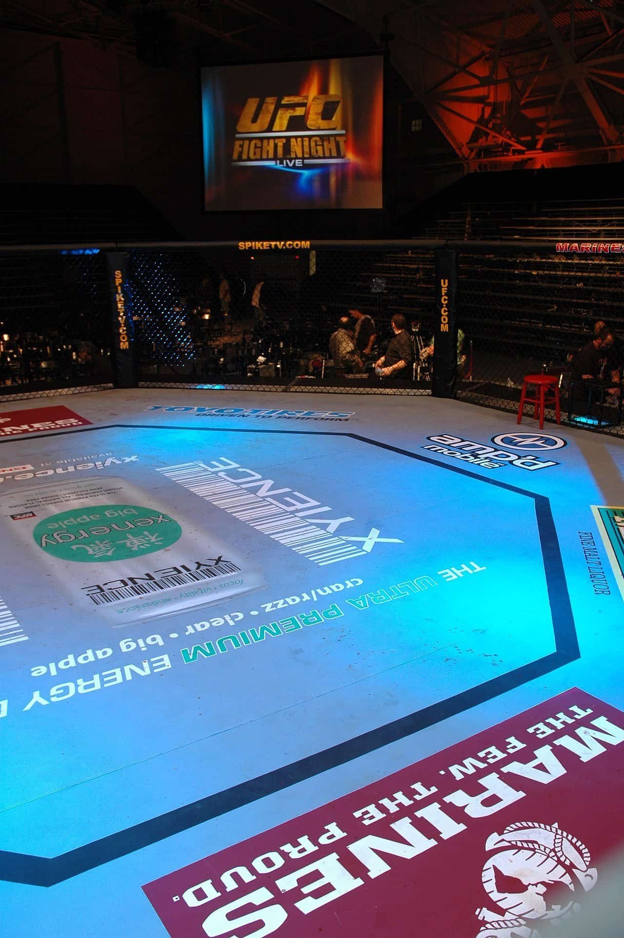 UFC Octagon